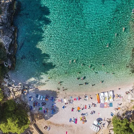 Apartment In With Wifi