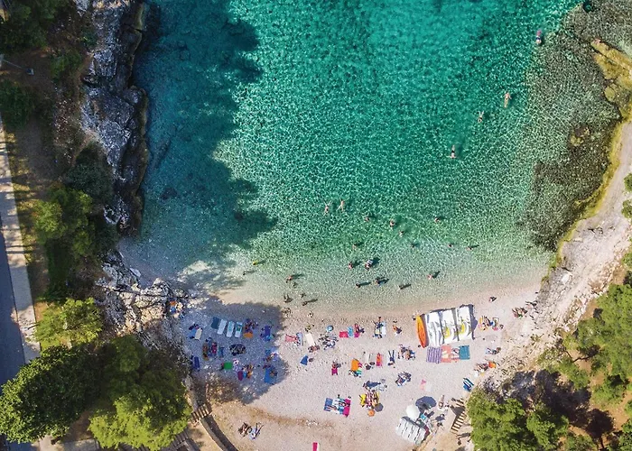 Apartment In With Wifi